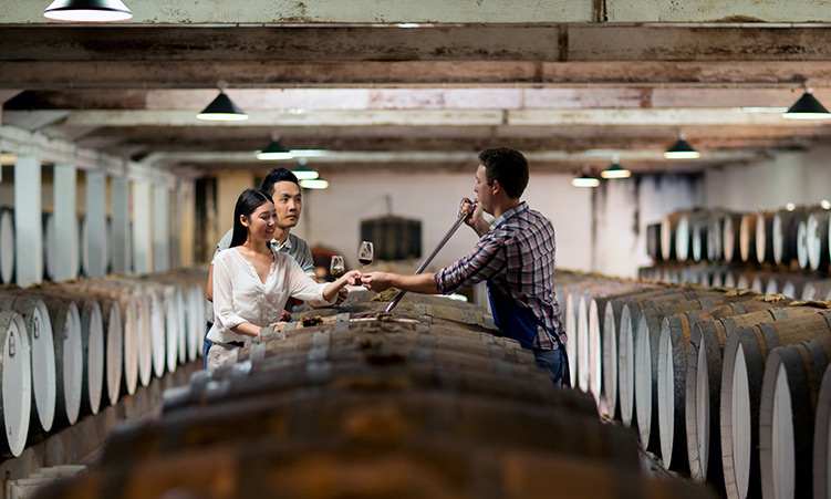 living-in-south-australia---mobile-banner